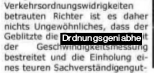 PDF im Betrachter mit selektiertem problematischen Bereich